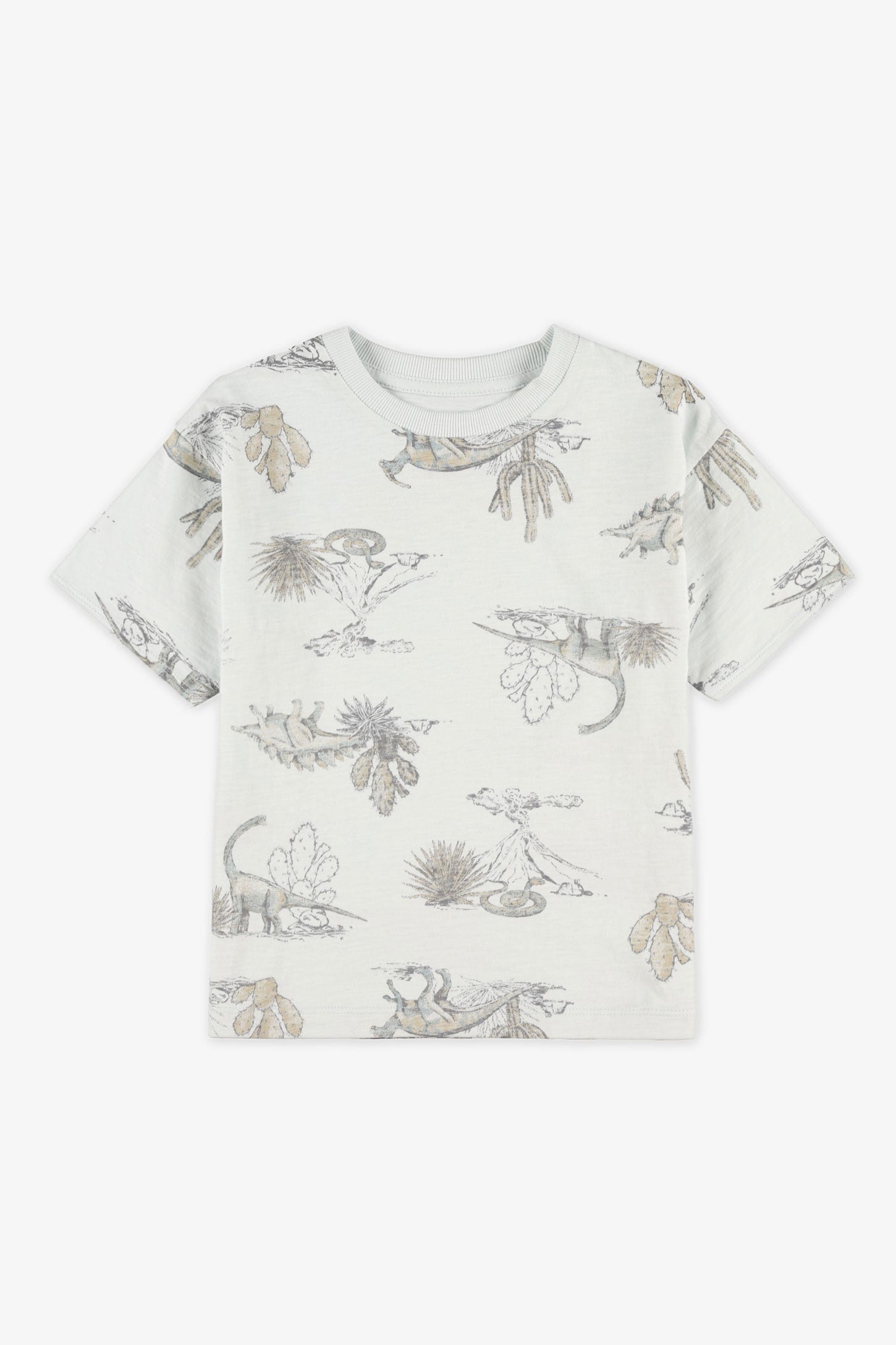 T-shirt col rond coton - Enfant garçon && BLEU MULTI