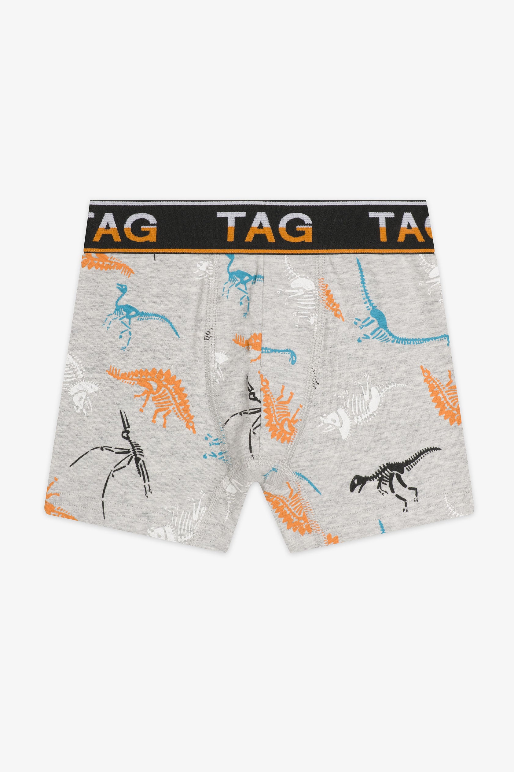 Lot De 5 Slips Garçon How To Train Your Dragon - Motifs Krokmou (Toothless) - 100% Coton