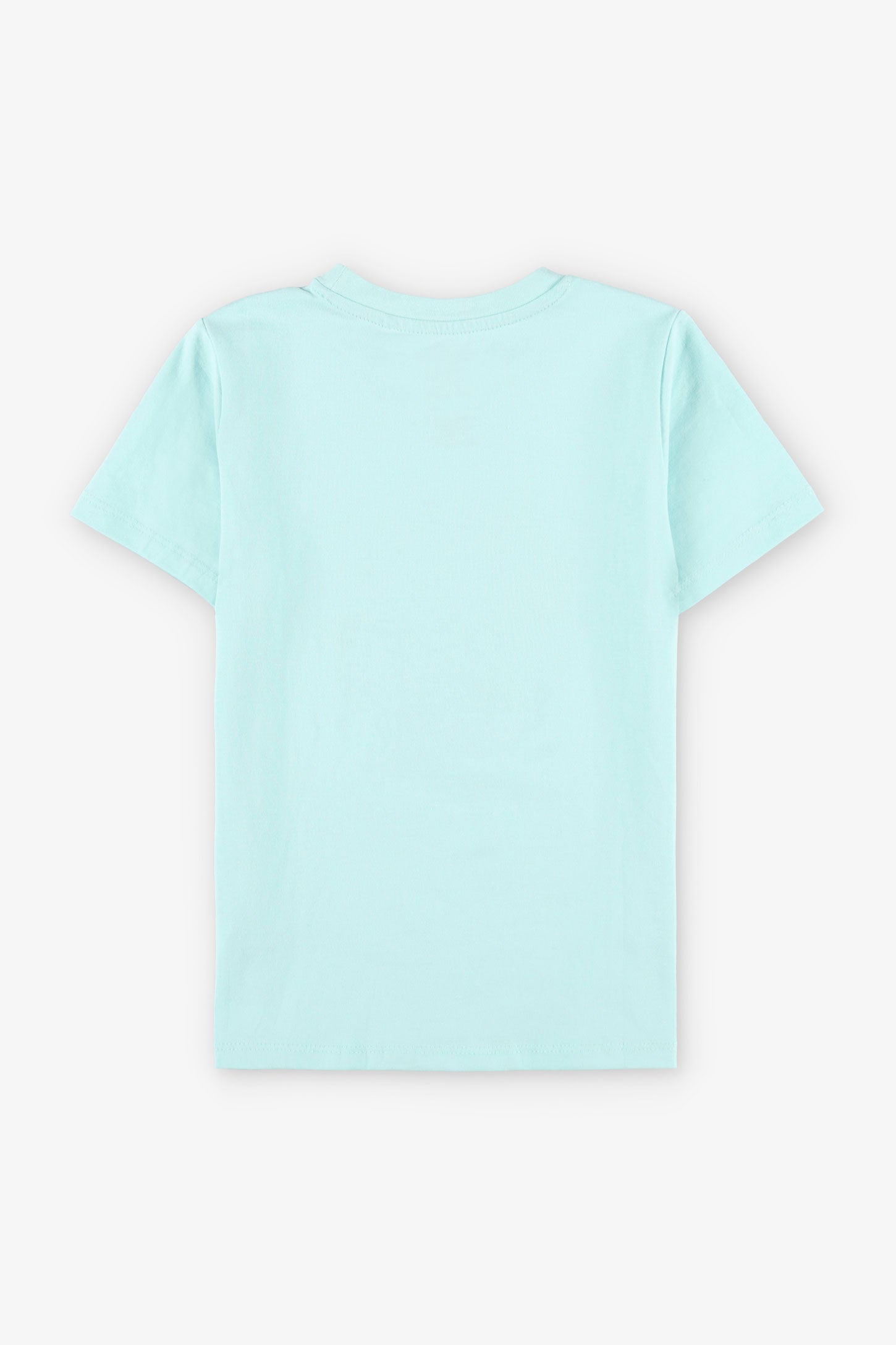T-shirt imprimé en coton, 2/20$ - Enfant garçon && MENTHE