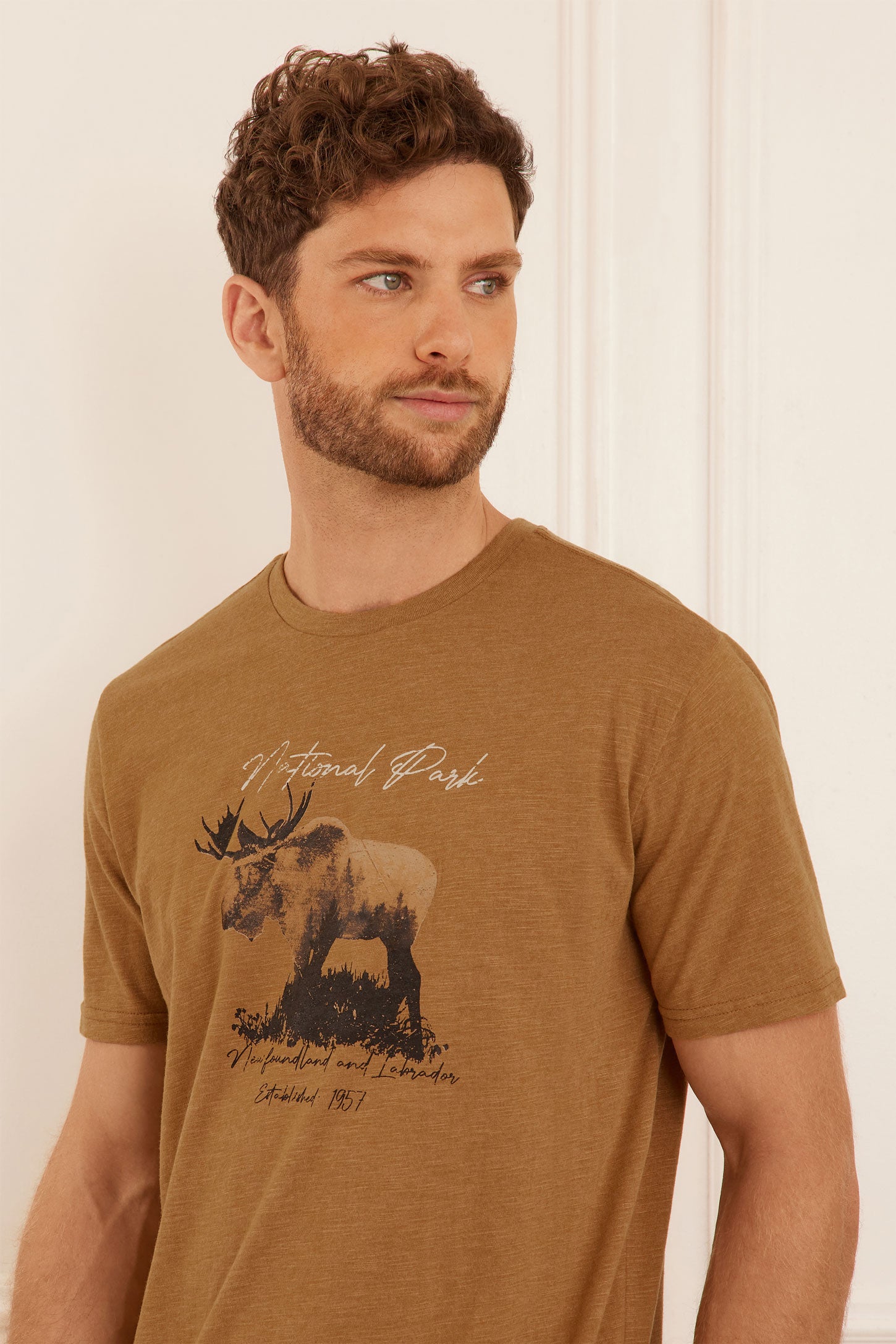T-shirt imprimé - Homme && BEIGE