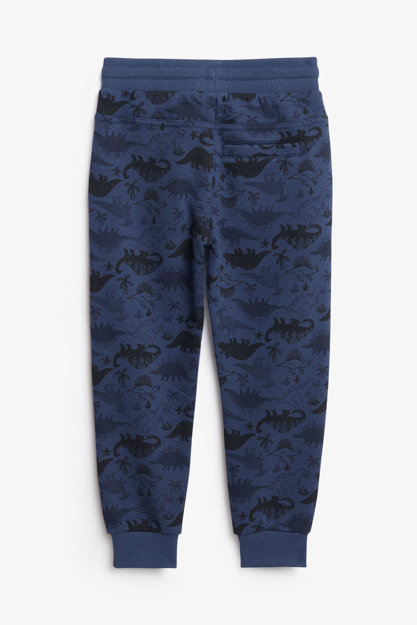 Pantalon jogger en coton ouaté - Enfant garçon && COMBO BLEU