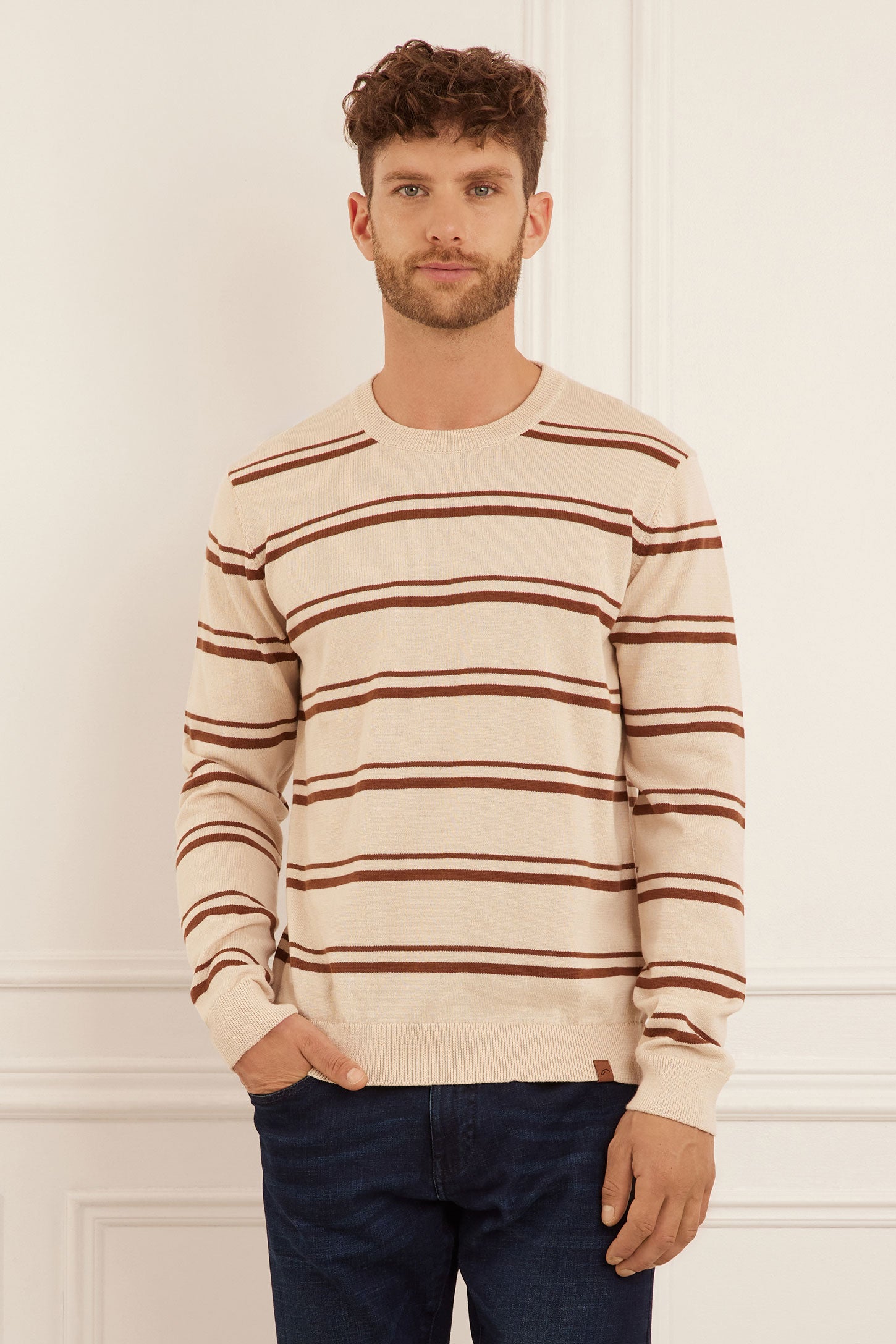 Chandail tricot rayé - Homme && BEIGE