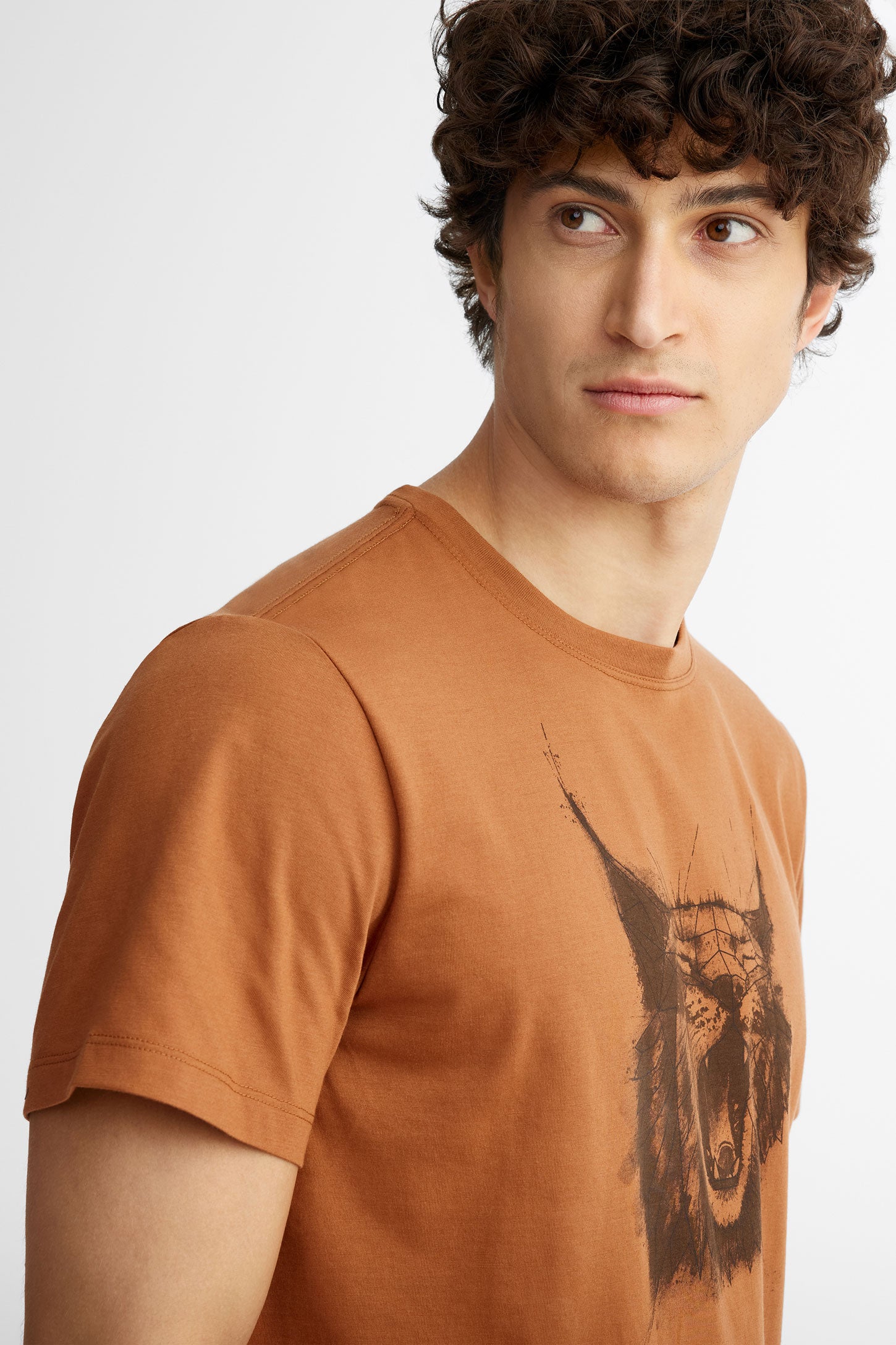 T-shirt col rond coton bio BM, 2/50$ - Homme && BRUN