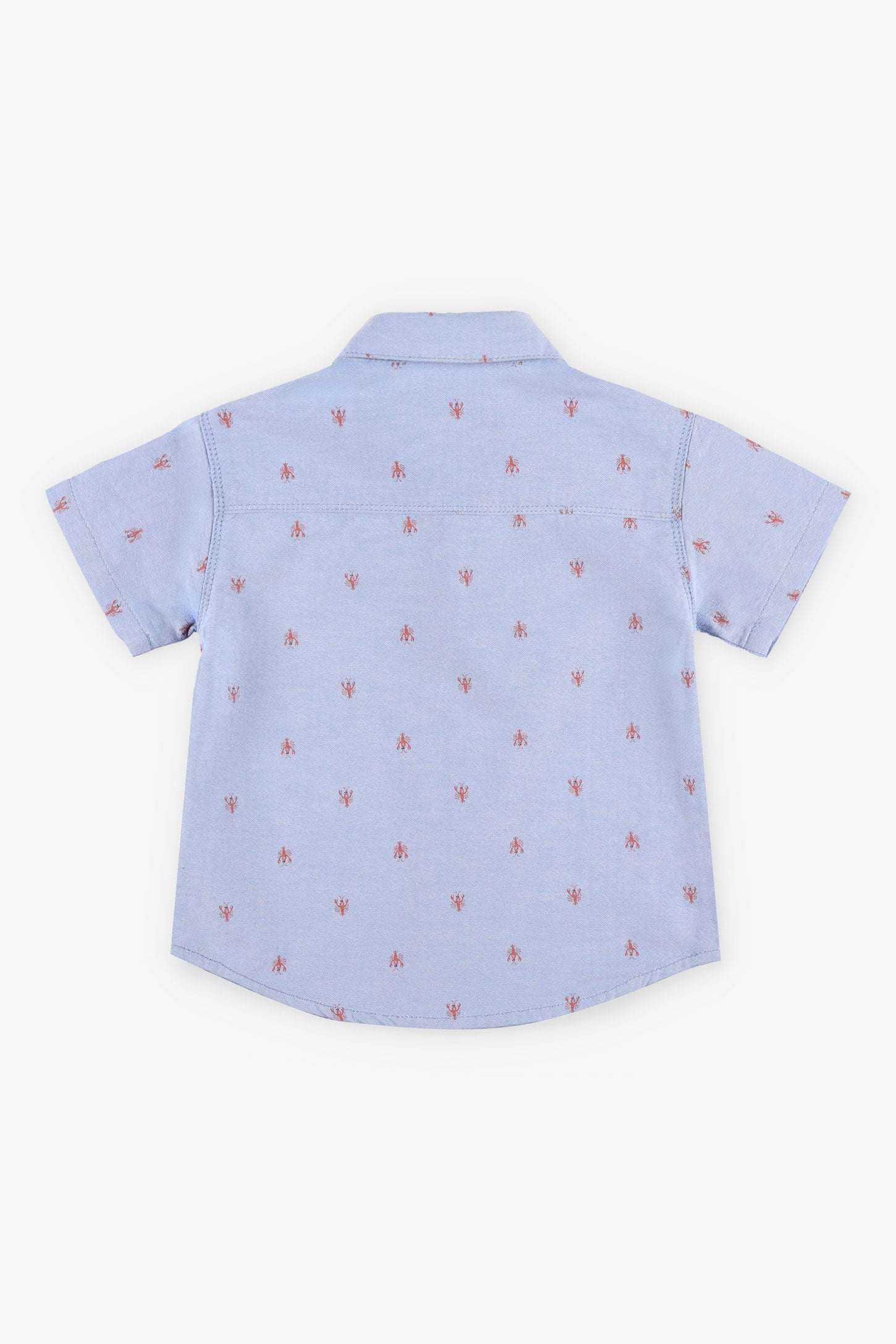 Chemise manches courtes Oxford - Bébé garçon && BLEU MULTI