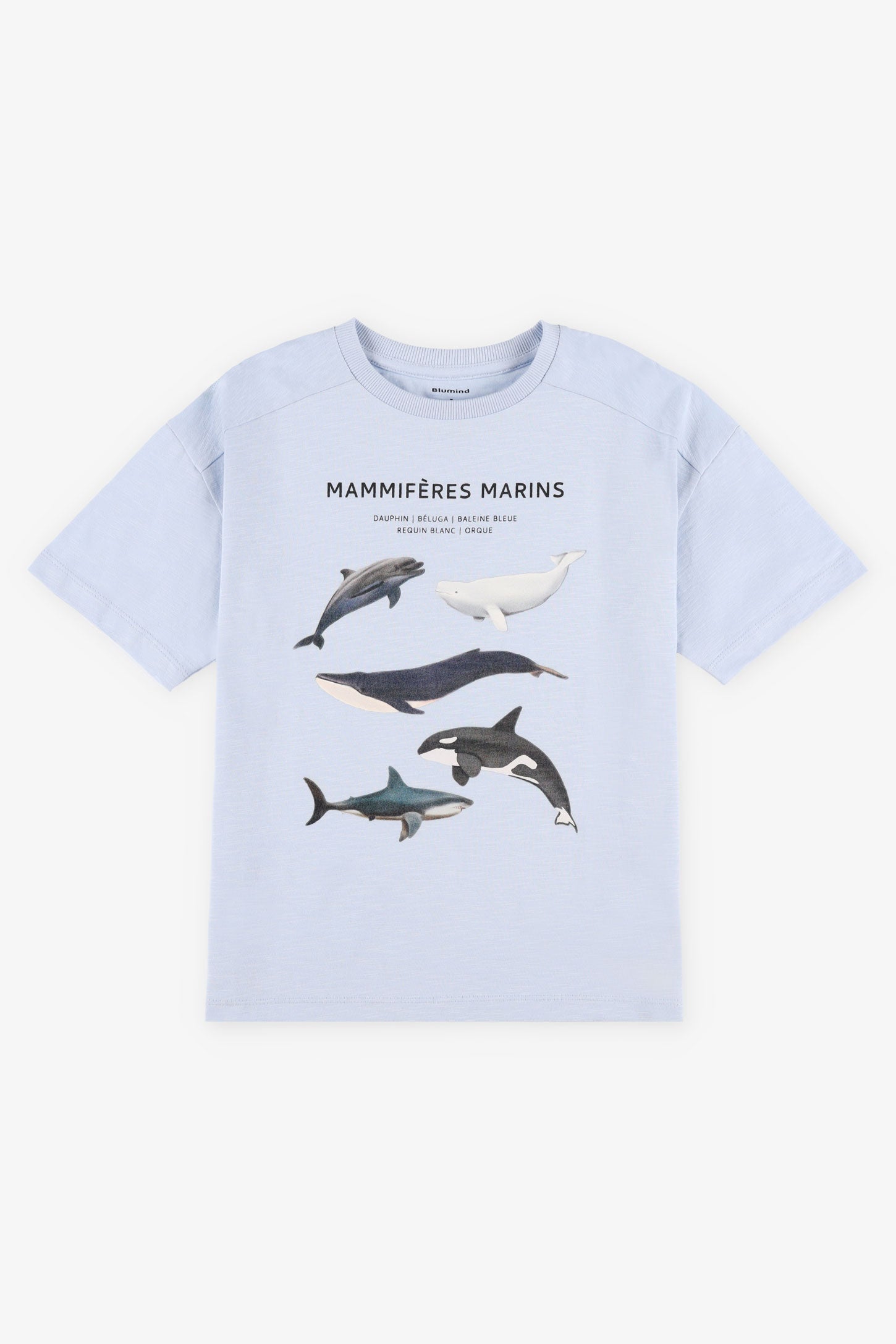 T-shirt imprimé en coton - Enfant garçon && BLEU PALE