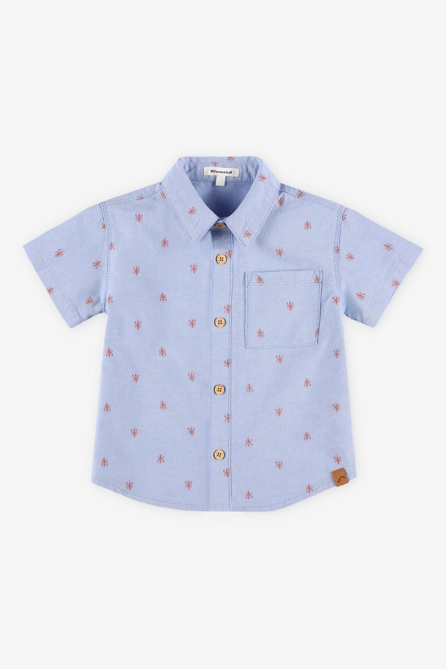 Chemise manches courtes Oxford en coton - Enfant garçon && BLEU MULTI