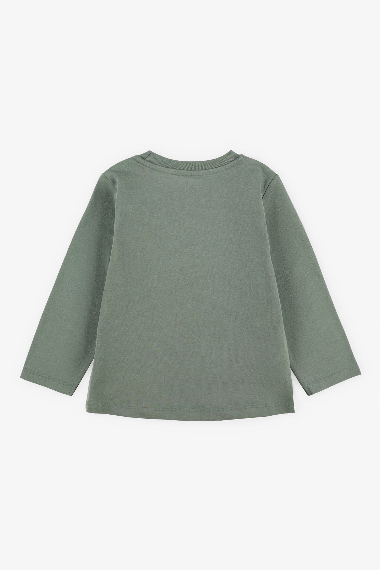 Chandail manches longues en coton, 2T-3T - Bébé garçon && VERT