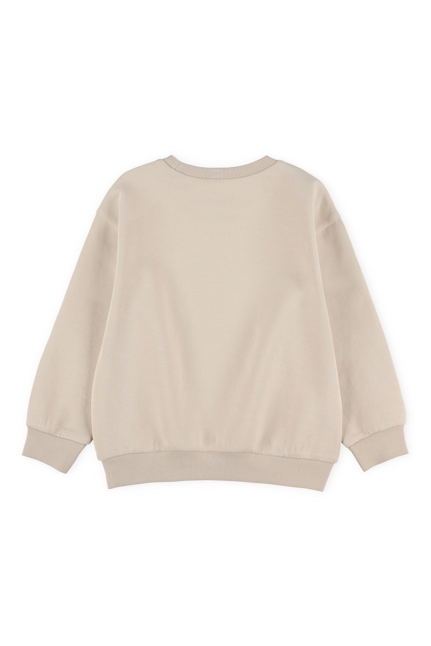 Chandail col rond coton ouaté - Enfant garçon && BEIGE