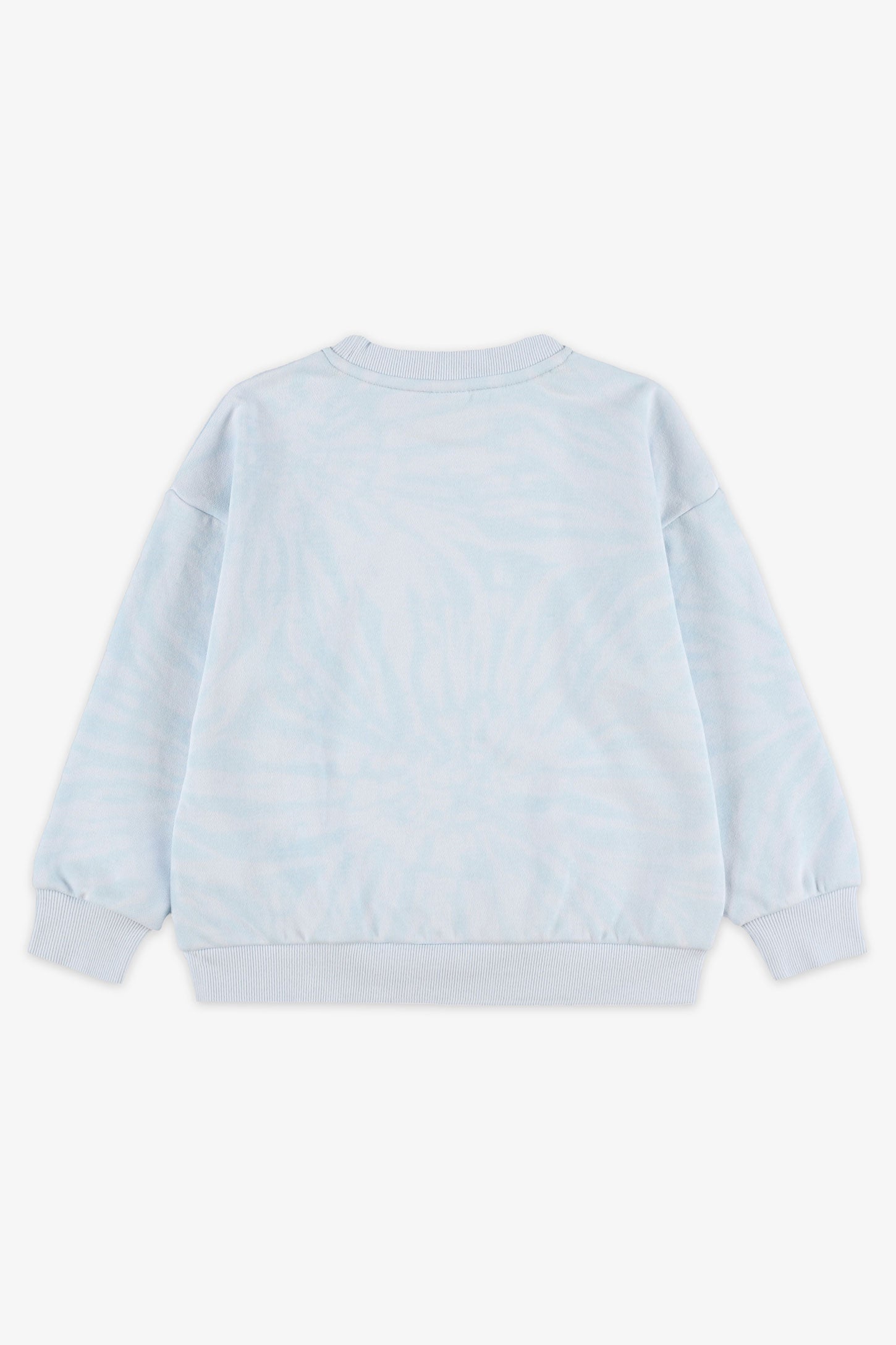 Chandail col rond coton ouaté - Enfant garçon && BLEU MULTI