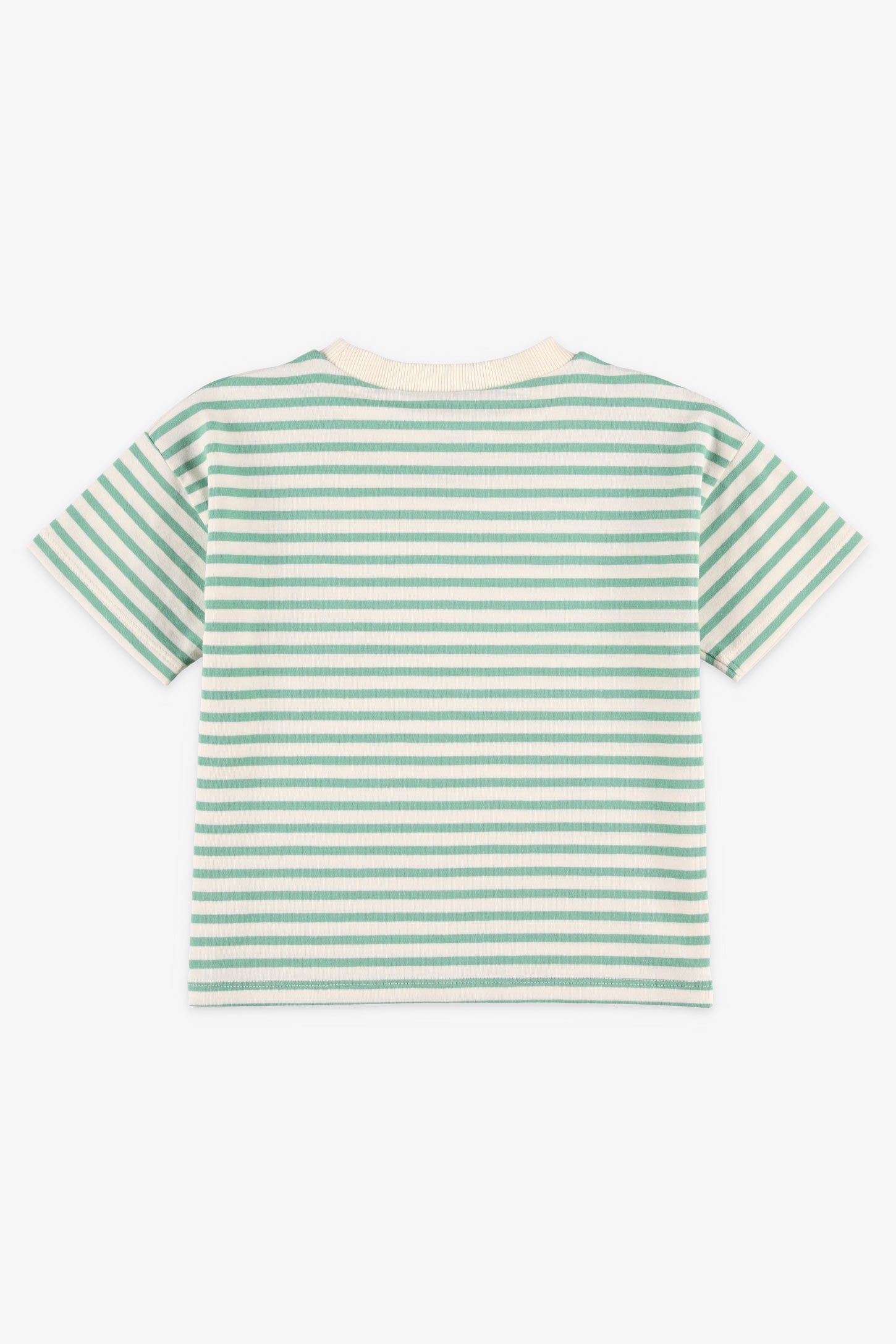 T-shirt col rond en coton, 2T-3T - Bébé garçon && VERT/MULTI