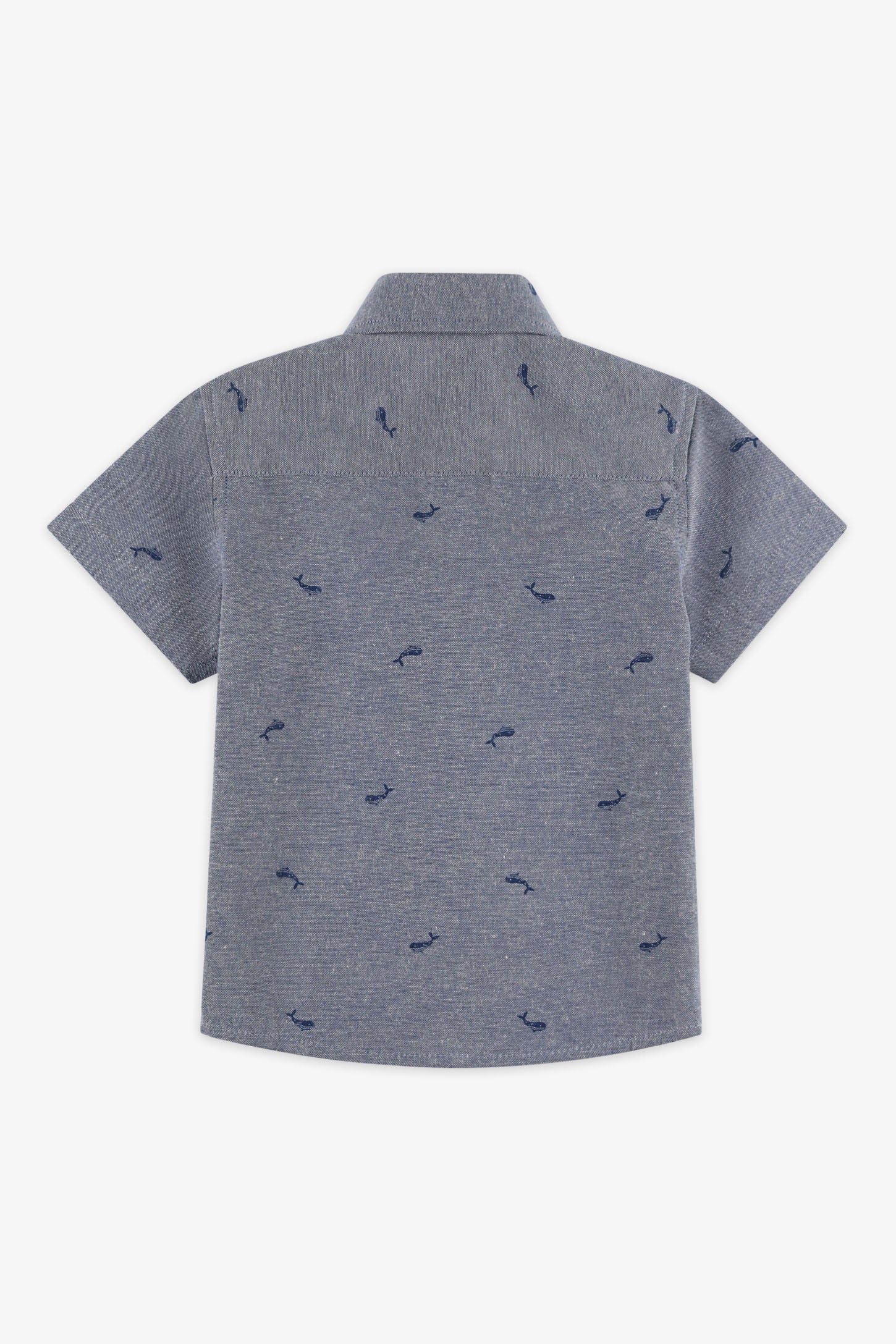 Chemise manches courtes coton - Bébé garçon && BLEU MARINE