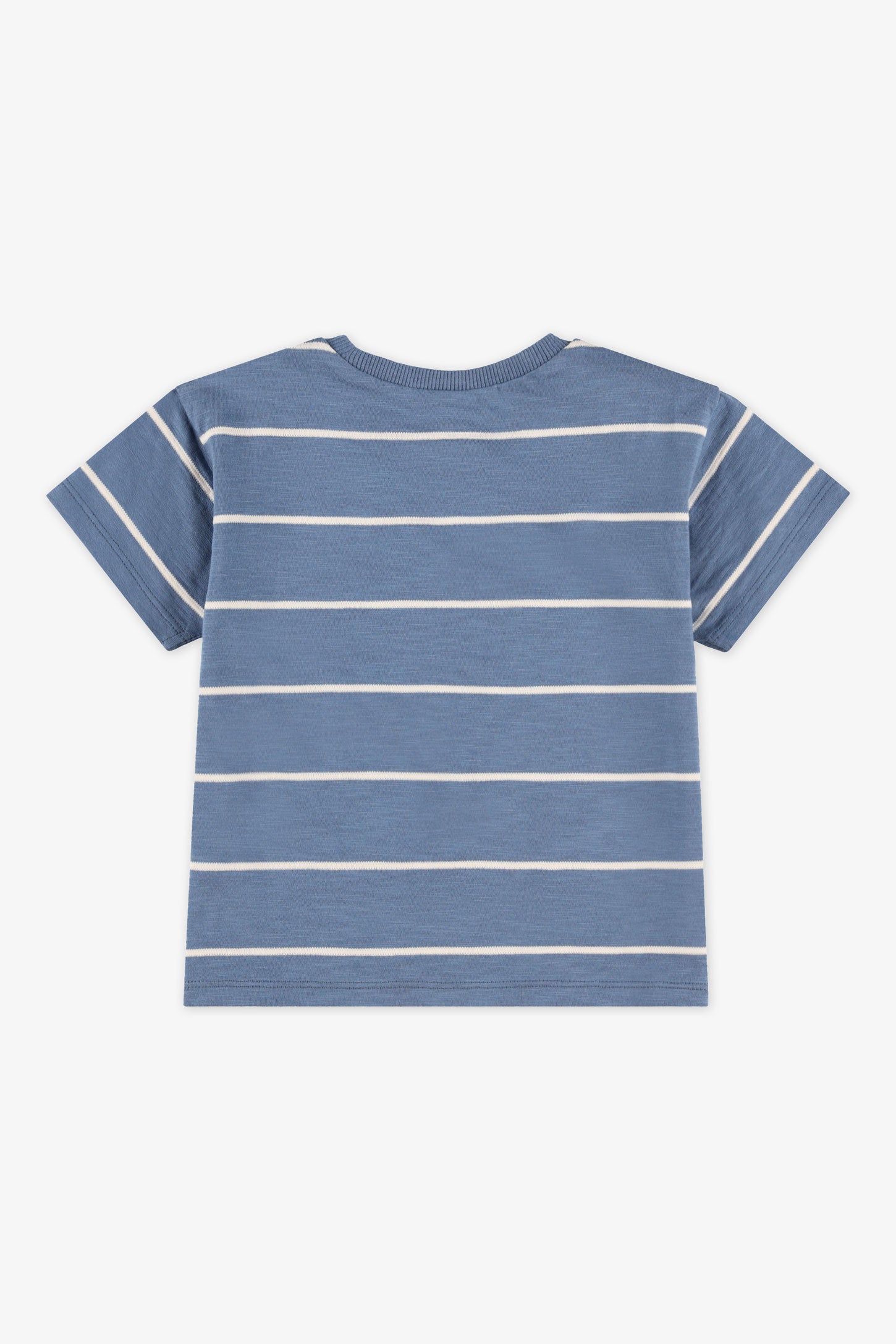 T-shirt col rond rayé coton - Bébé garçon && BLEU MULTI