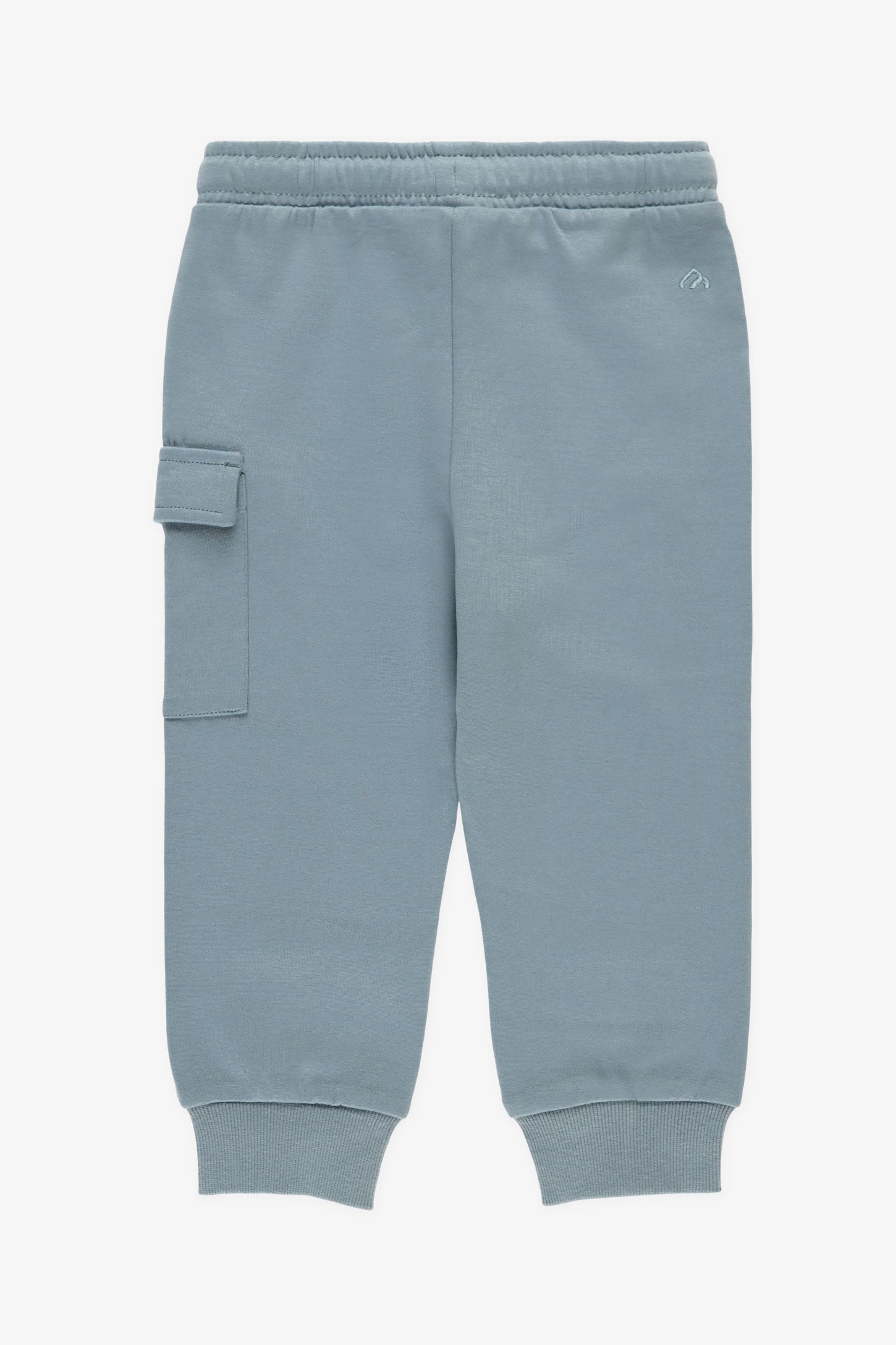 Pantalon jogger cargo - Bébé garçon && BLEU