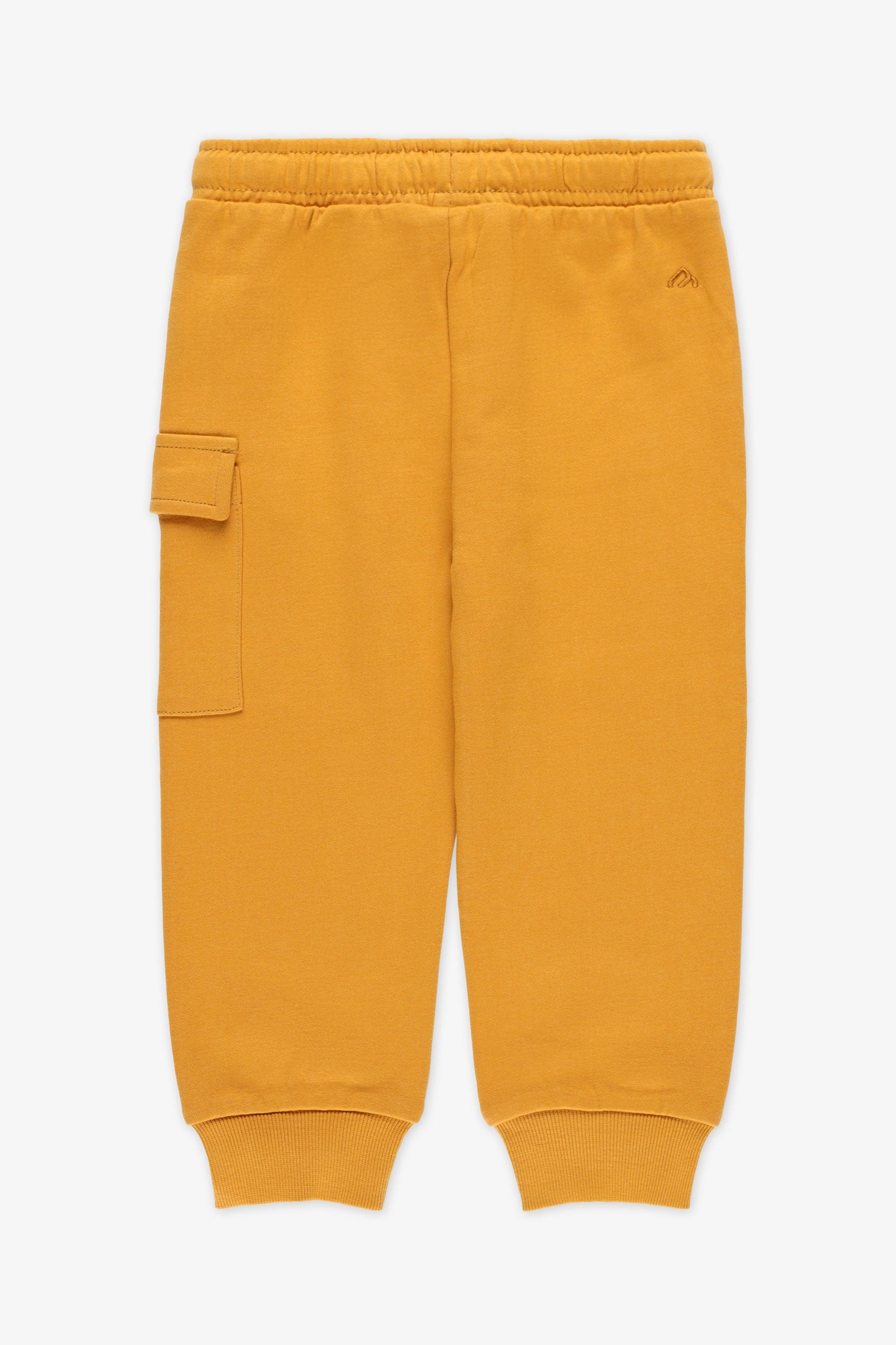 Pantalon jogger cargo, 2T-3T - Bébé garçon && OCRE