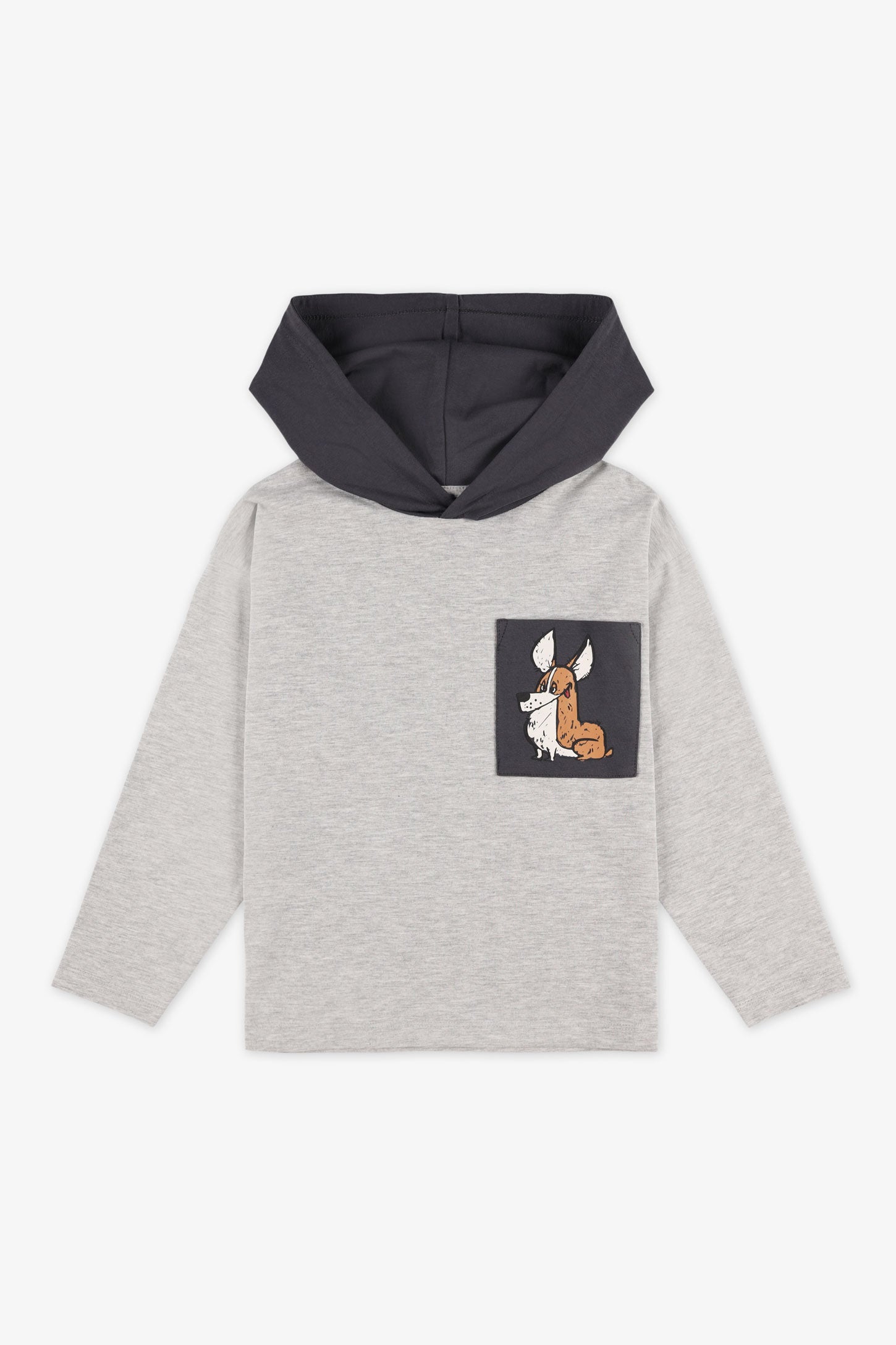 Chandail à capuchon coton - Enfant garçon && MIX GRIS CLAIR