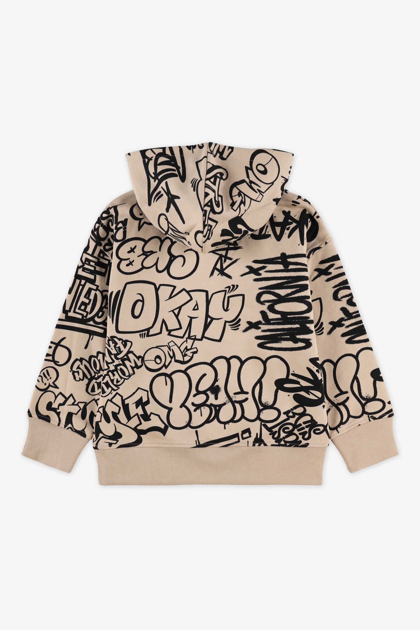 Chandail ouaté à capuchon - Enfant garçon && BEIGE/MULTI