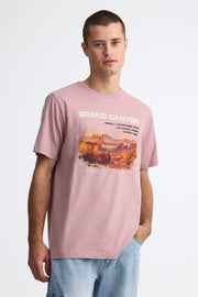 T-shirt col rond coton - Homme && ROSE