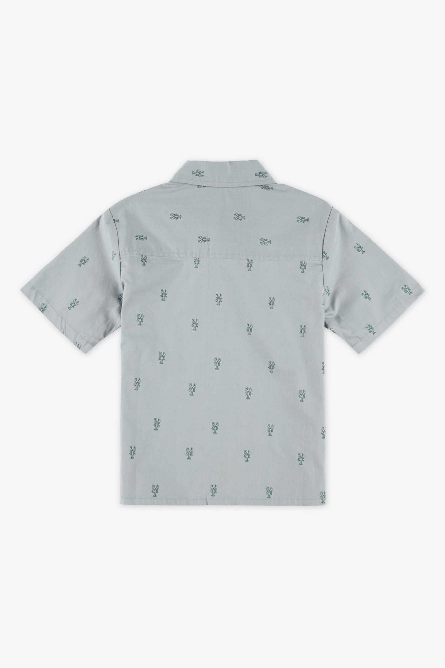 Chemise M/courtes imprimée - Enfant garçon && BLEU MULTI