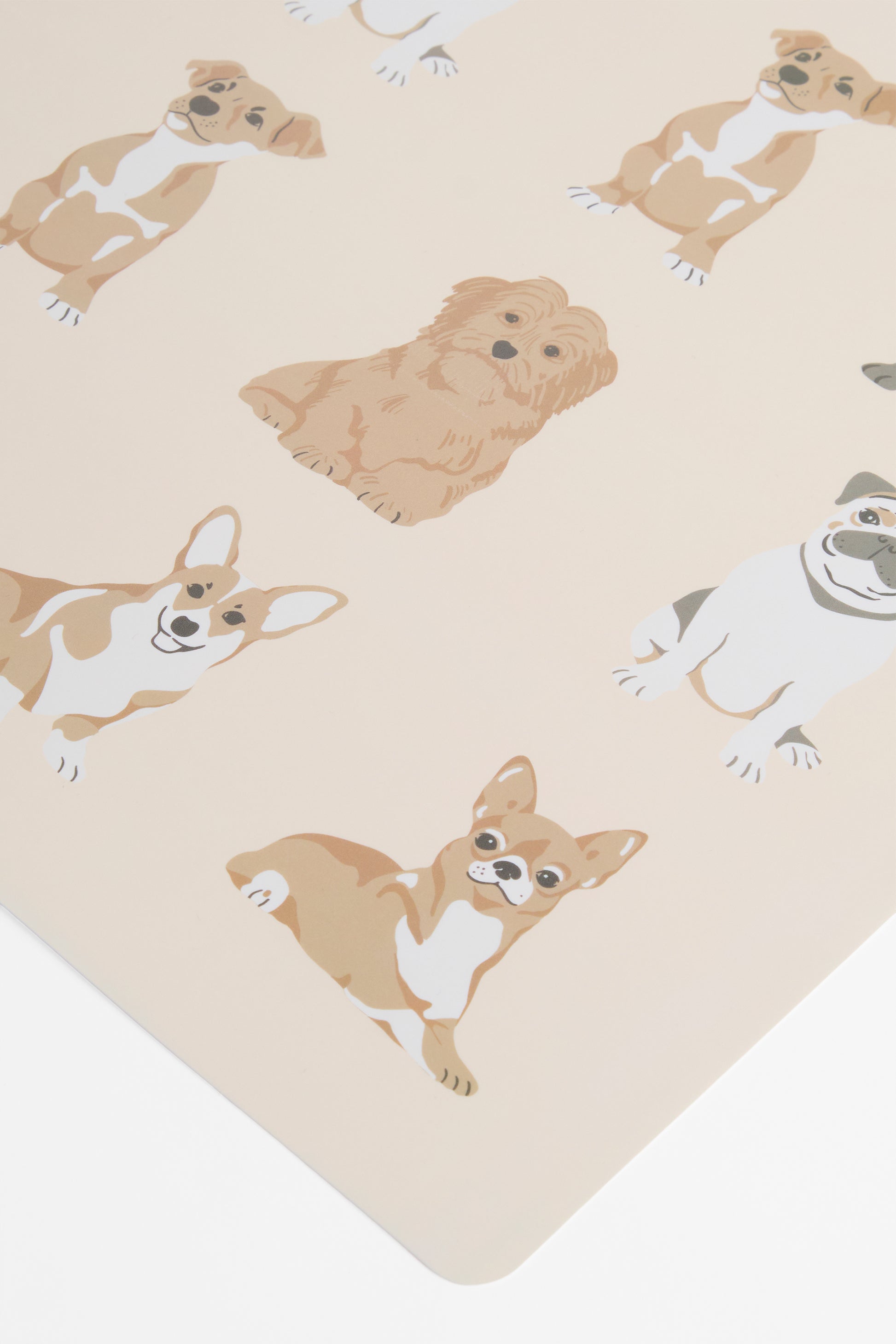 Pack de 4 napperons animaux imprimés - Maison && BEIGE/MULTI