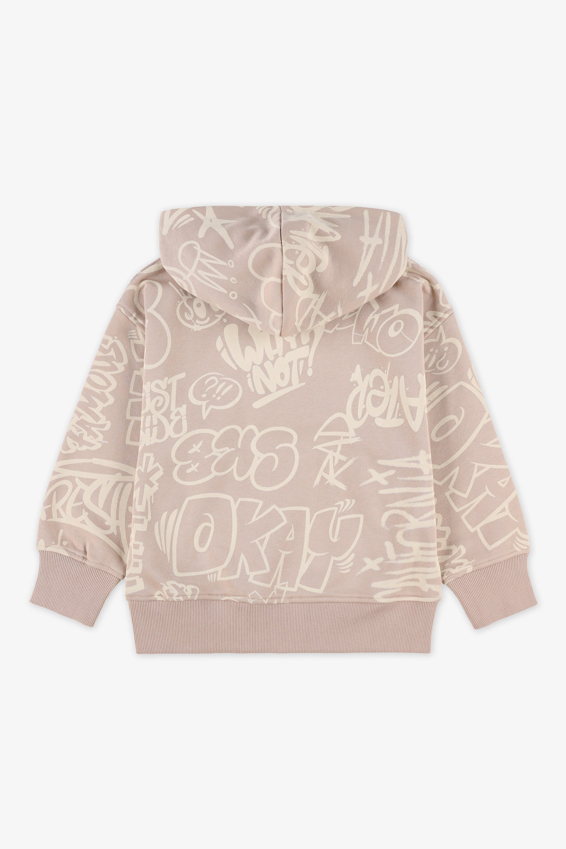 Chandail ouaté à capuchon – Jeune homme && BEIGE/MULTI