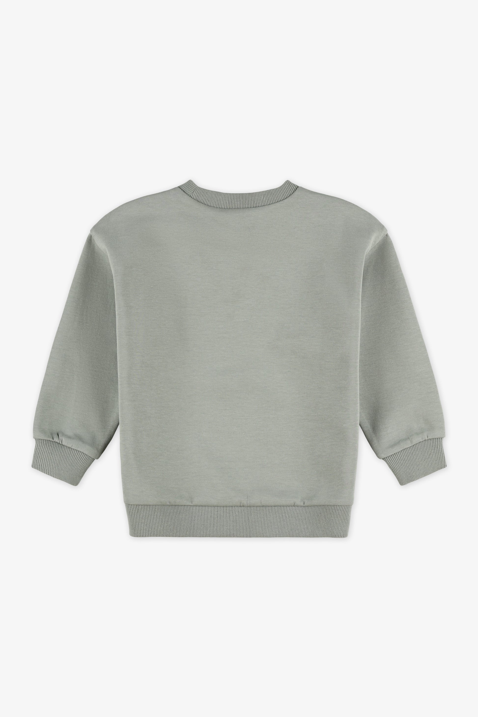 Chandail ouaté col rond imprimé - Bébé garçon && KAKI