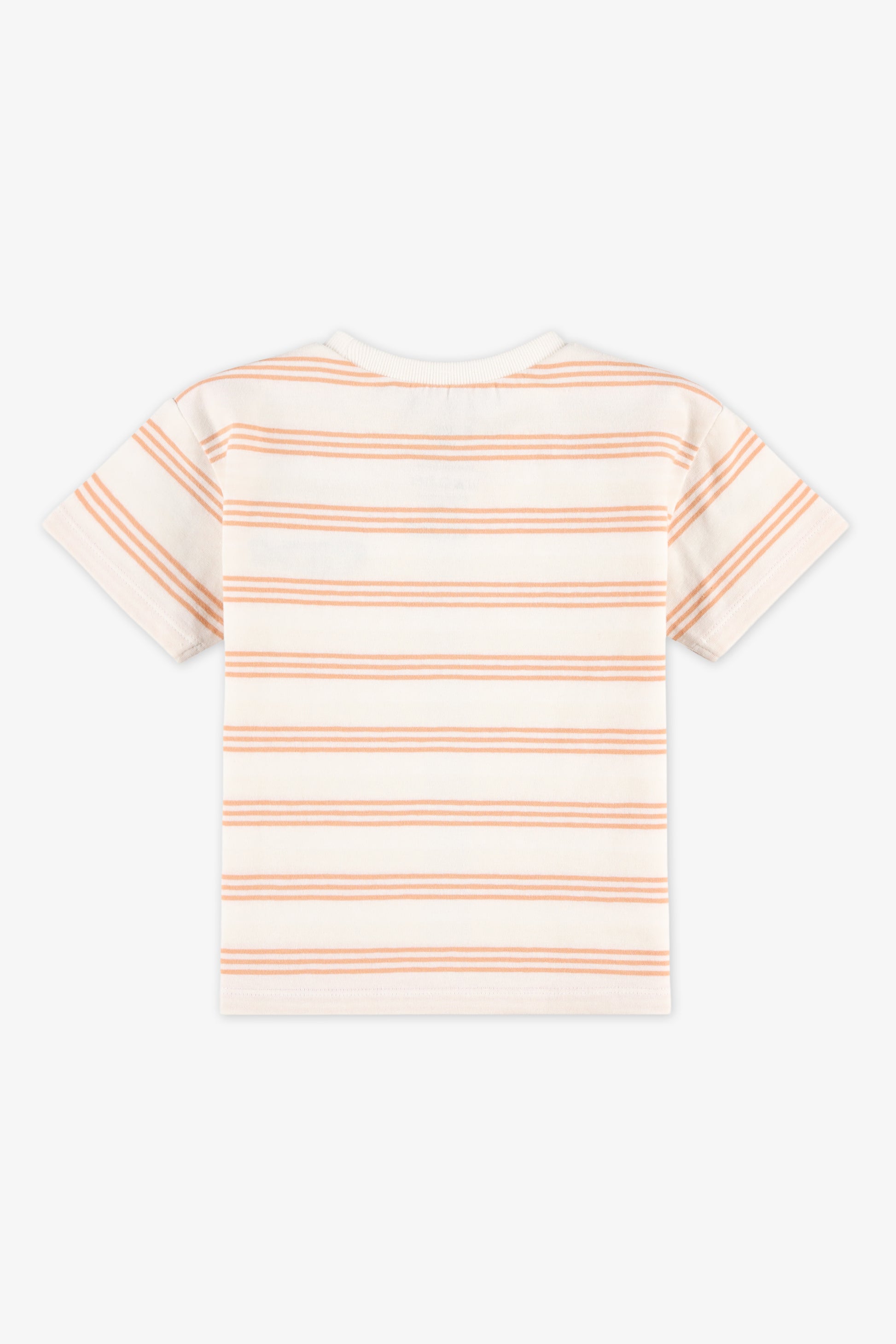 T-shirt à manches courtes rayé - Bébé garçon && BRUN/MULTI