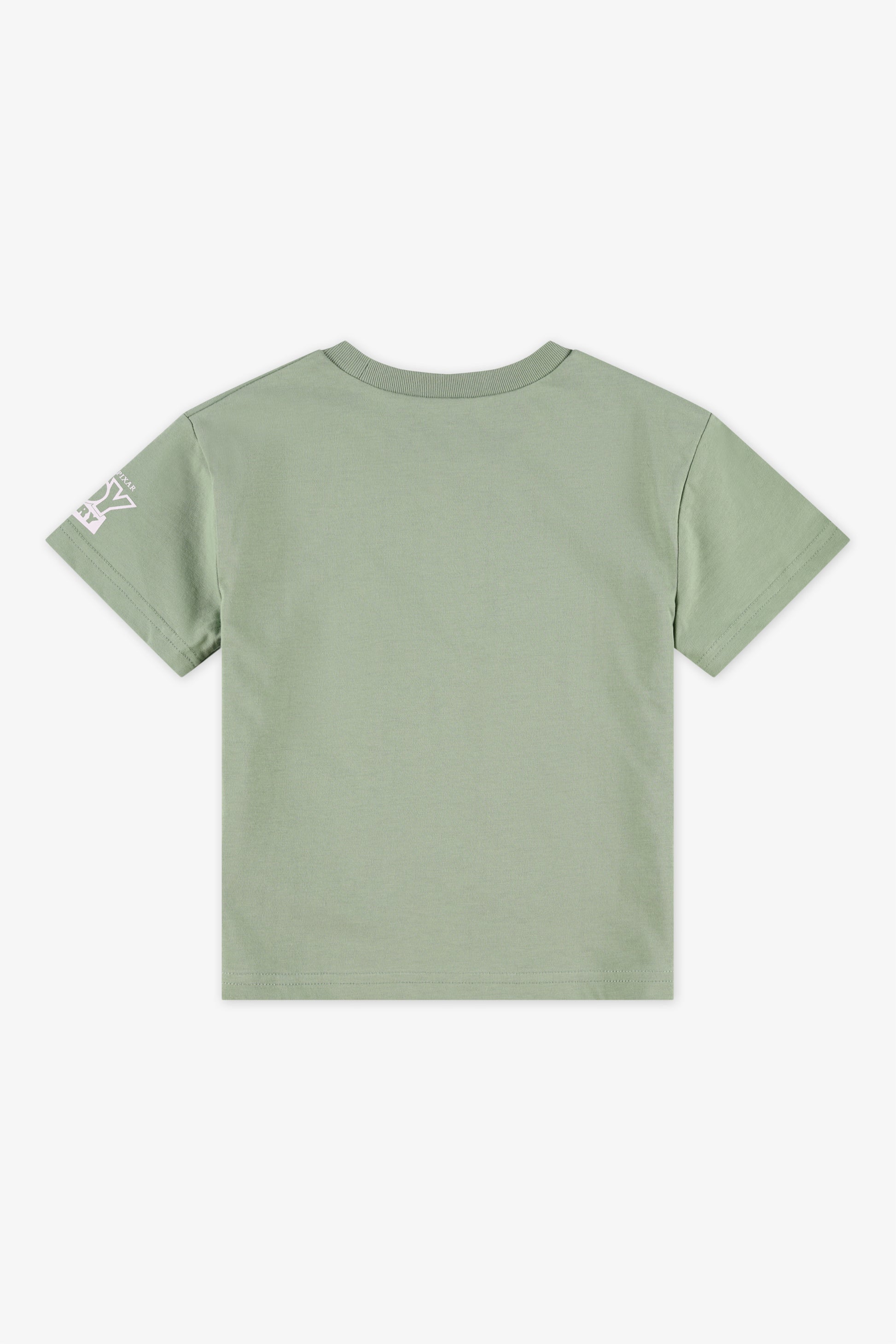 Chandail à manches courtes col rond Rex - Enfant garçon && VERT