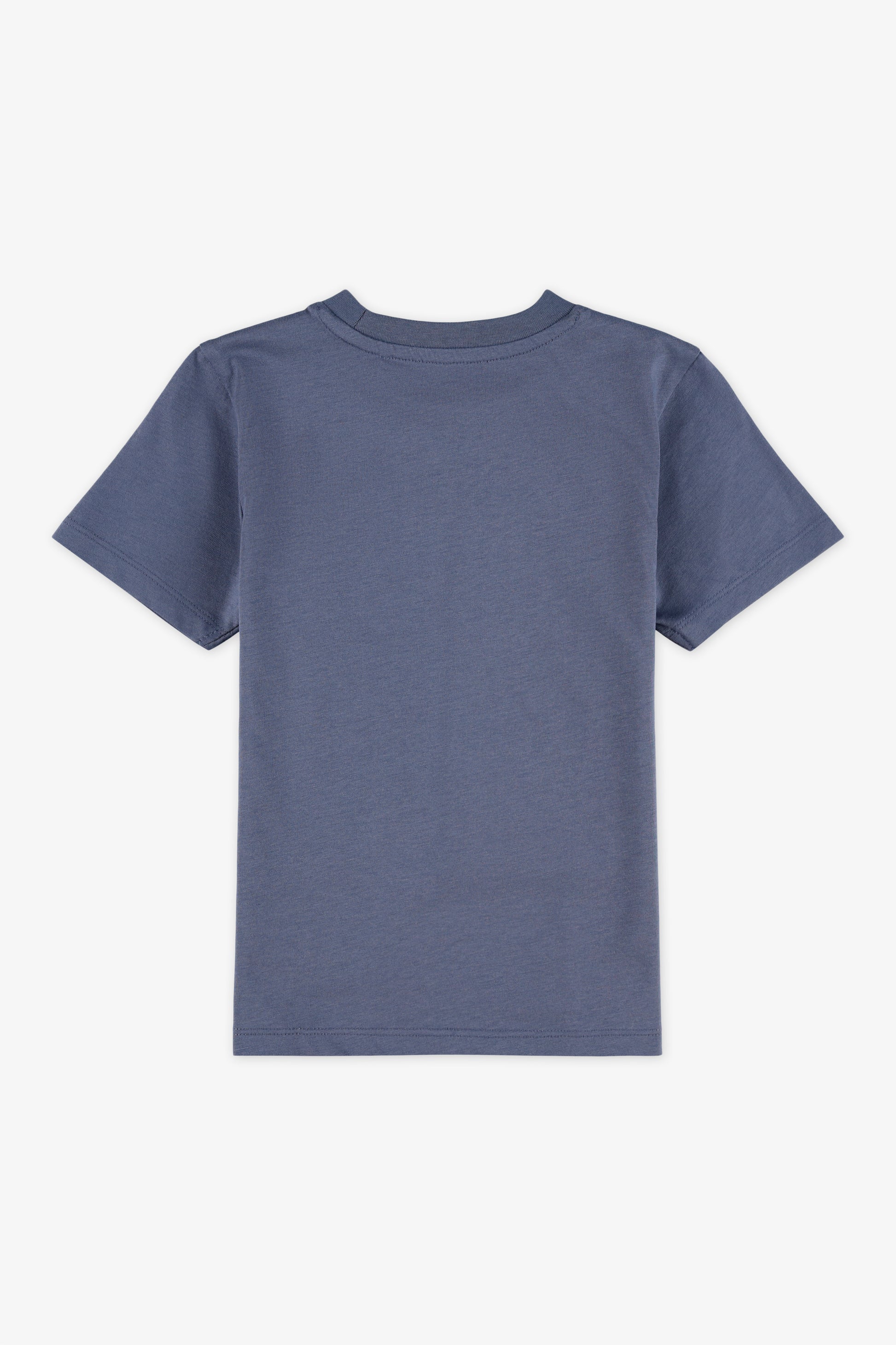 Chandail manches courtes - Enfant garçon && INDIGO