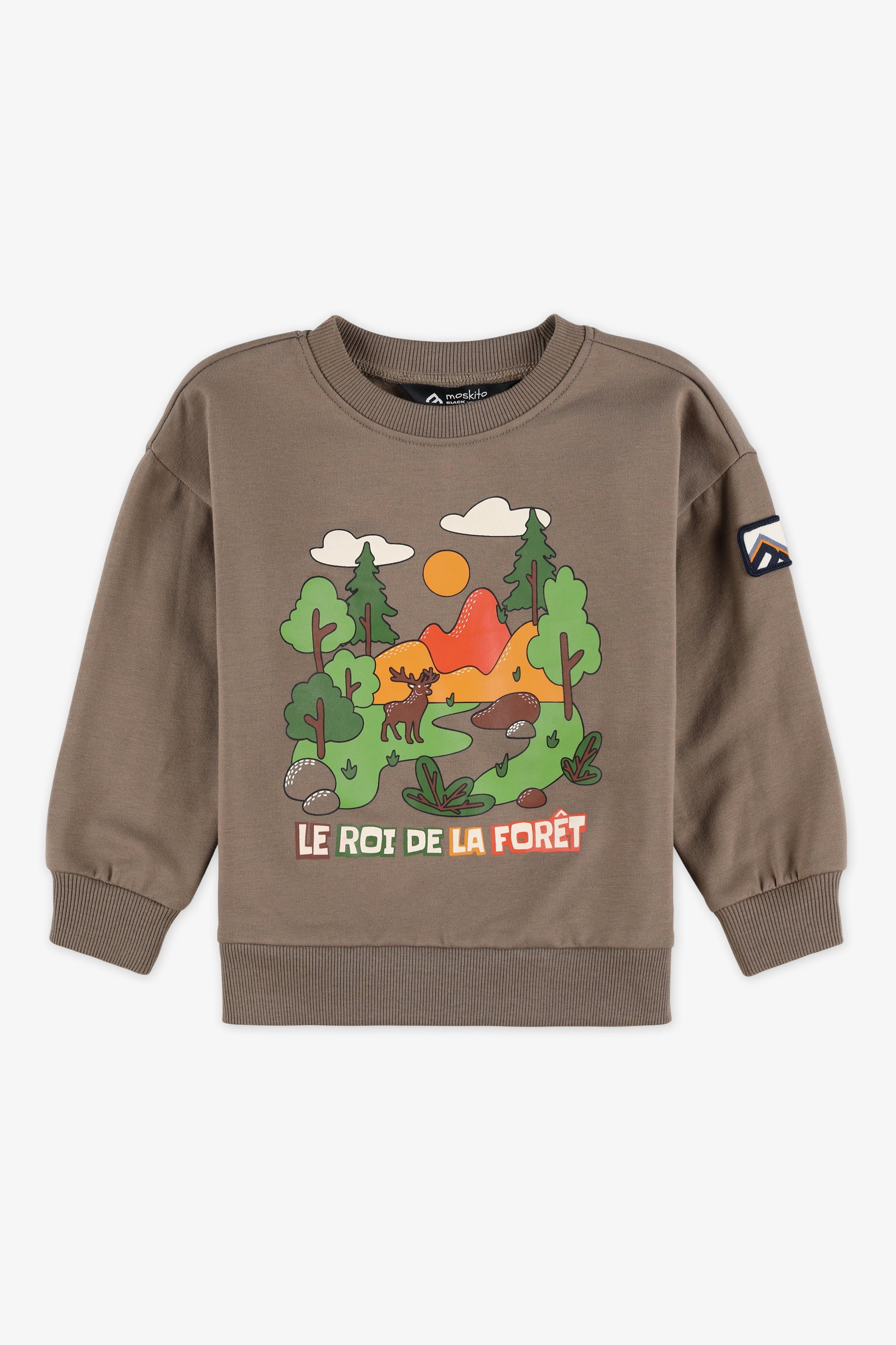 Chandail ouaté graphique - Bébé garçon && BRUN