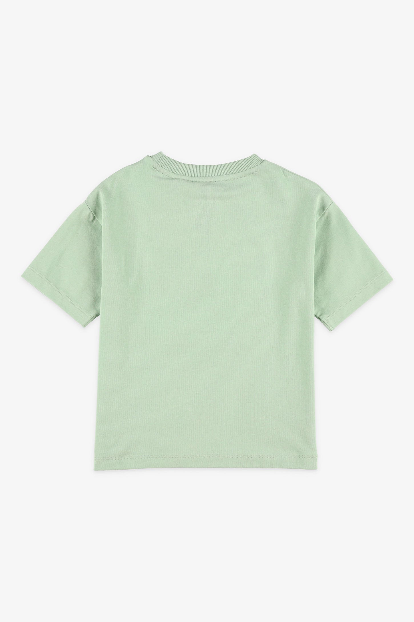 T-shirt col rond imprimé coton - Enfant garçon && VERT
