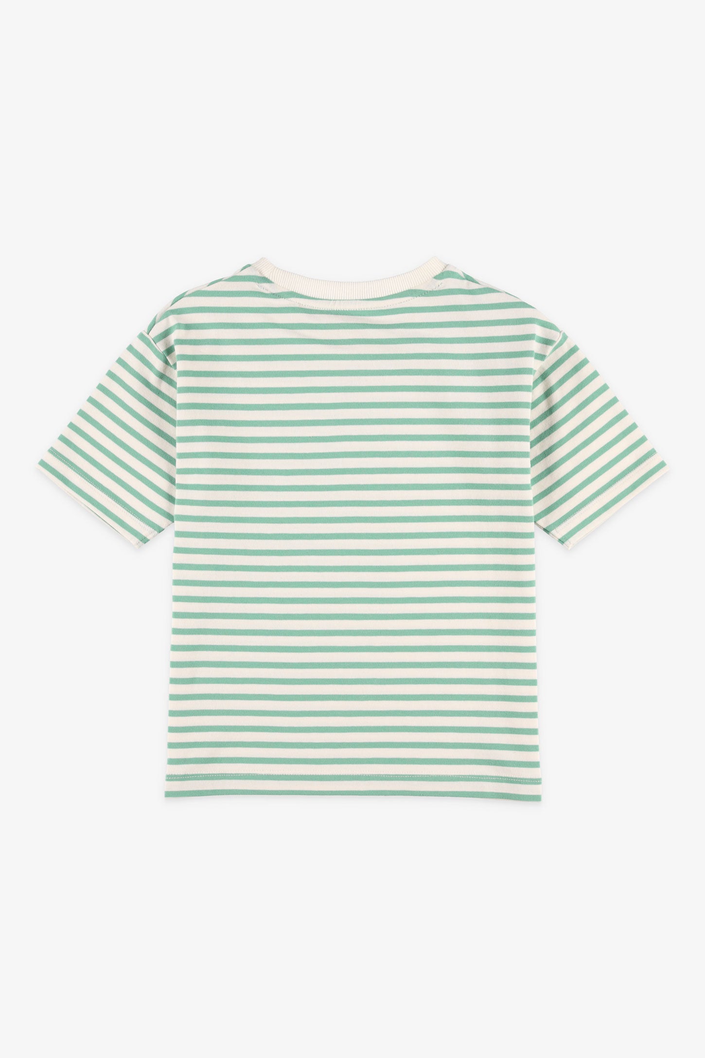 T-shirt col rond imprimé coton - Enfant garçon && VERT/MULTI