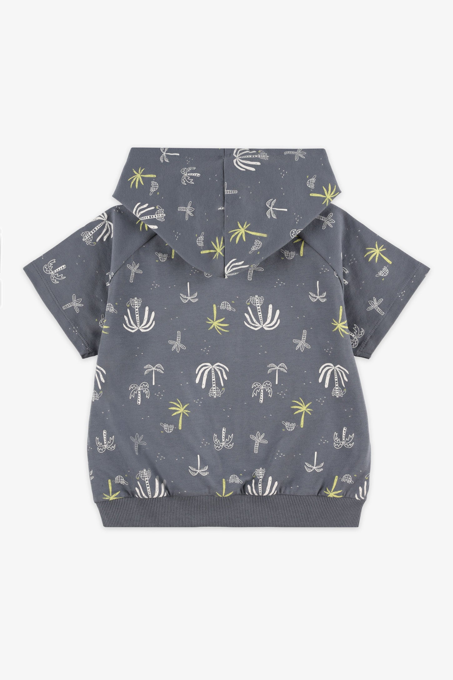 T-shirt à capuchon coton ouaté - Bébé garçon && GRIS MULTI