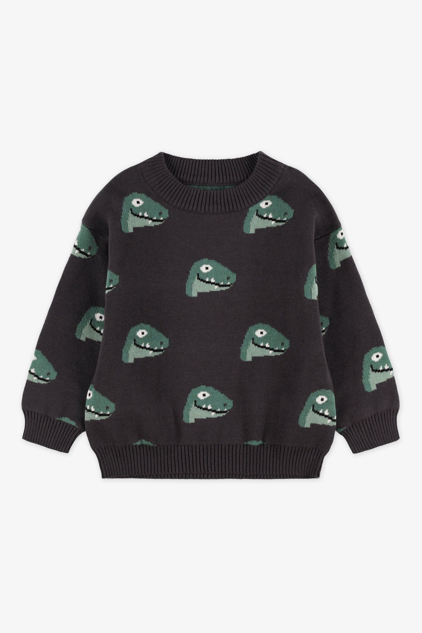 Chandail col rond tricot - Bébé garçon && CHARBON/MULTI