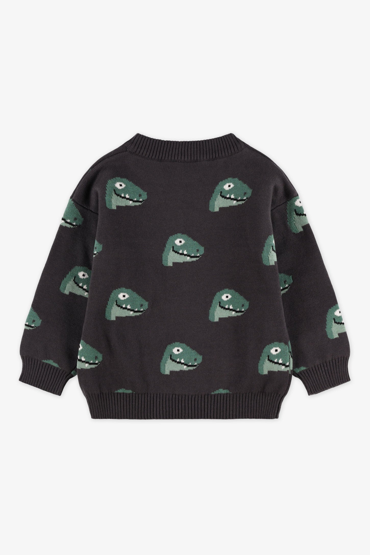 Chandail col rond tricot - Bébé garçon && CHARBON/MULTI
